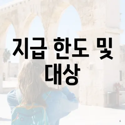 지급 한도 및 대상