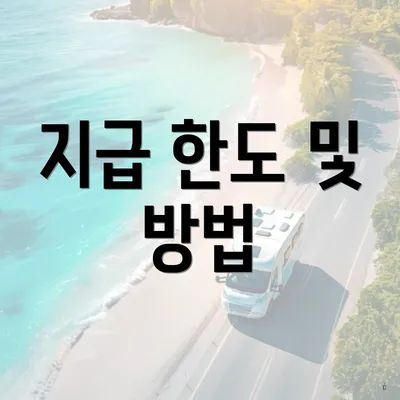 지급 한도 및 방법