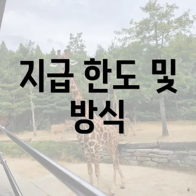 지급 한도 및 방식