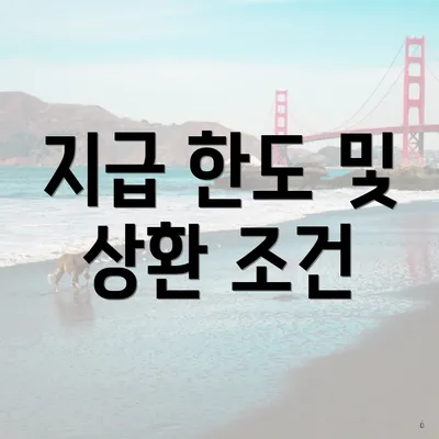 지급 한도 및 상환 조건