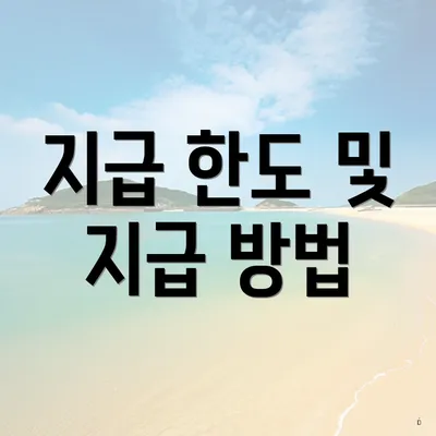 지급 한도 및 지급 방법
