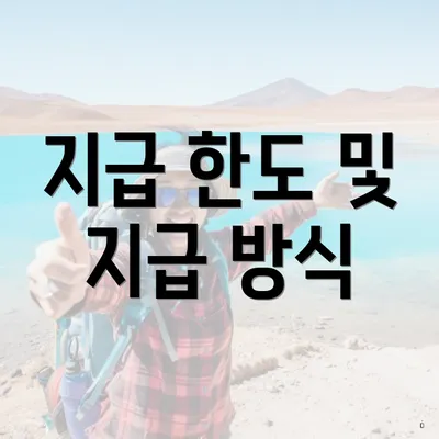 지급 한도 및 지급 방식