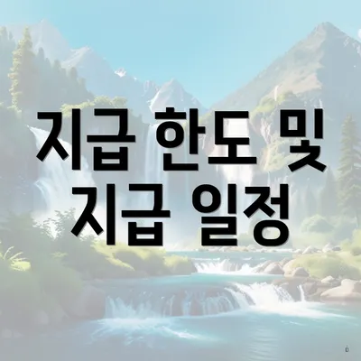 지급 한도 및 지급 일정