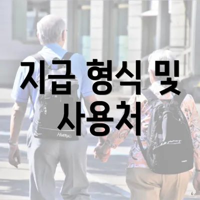 지급 형식 및 사용처