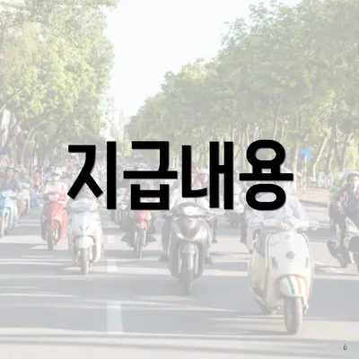 지급내용