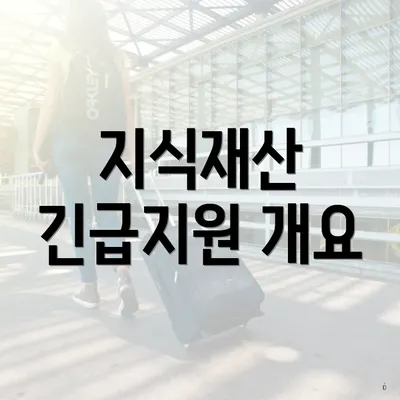지식재산 긴급지원 개요