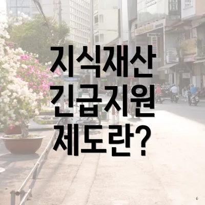 지식재산 긴급지원 제도란?
