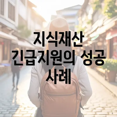 지식재산 긴급지원의 성공 사례