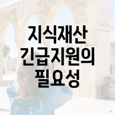 지식재산 긴급지원의 필요성