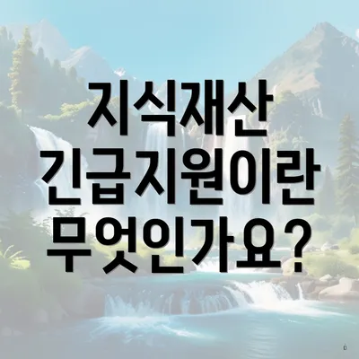 지식재산 긴급지원이란 무엇인가요?
