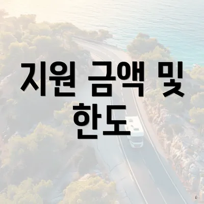 지원 금액 및 한도
