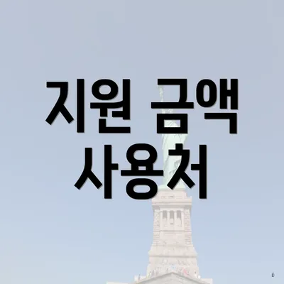 지원 금액 사용처