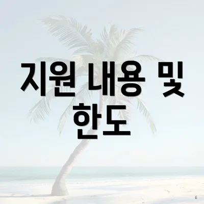 지원 내용 및 한도