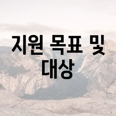 지원 목표 및 대상