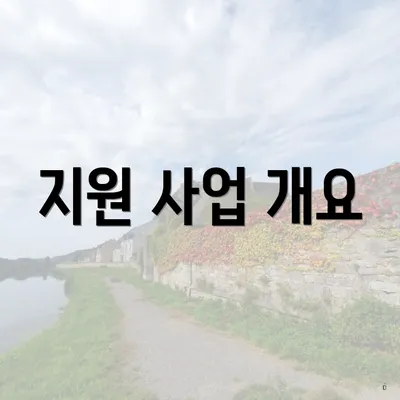 지원 사업 개요