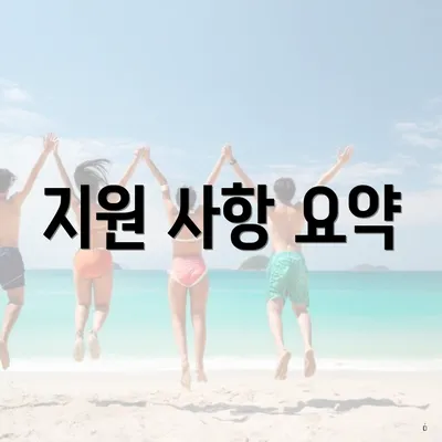 지원 사항 요약