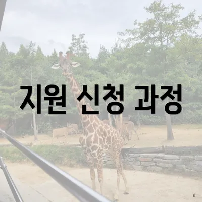 지원 신청 과정