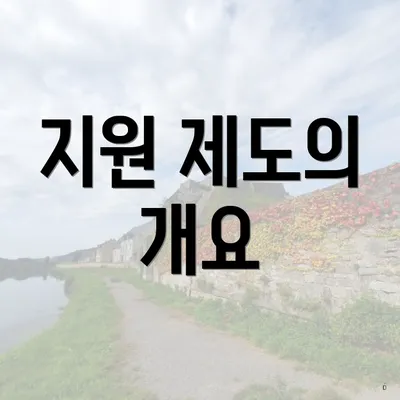 지원 제도의 개요