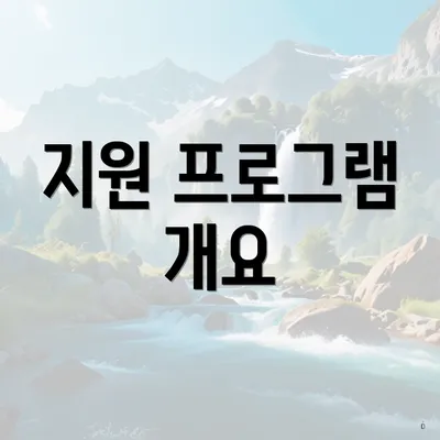 지원 프로그램 개요
