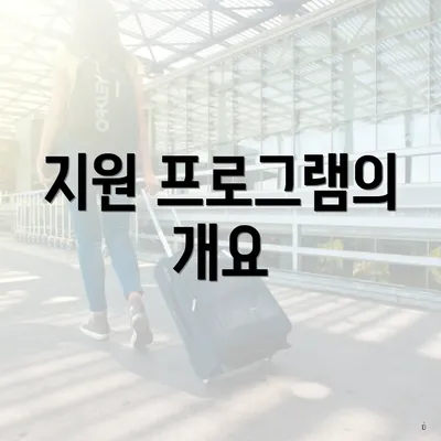지원 프로그램의 개요