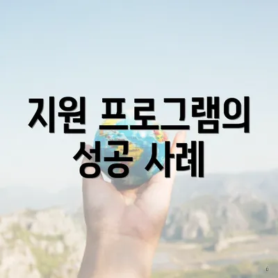 지원 프로그램의 성공 사례