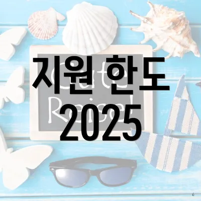지원 한도 2025