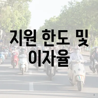 지원 한도 및 이자율