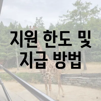 지원 한도 및 지급 방법