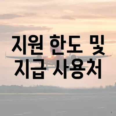 지원 한도 및 지급 사용처