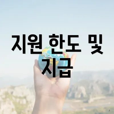 지원 한도 및 지급