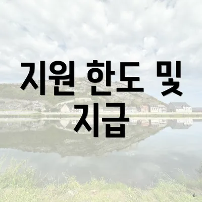 지원 한도 및 지급