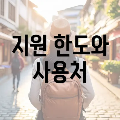 지원 한도와 사용처