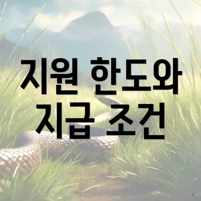지원 한도와 지급 조건