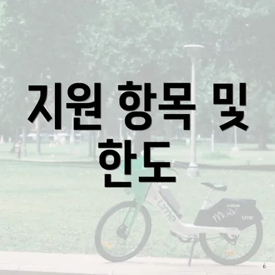 지원 항목 및 한도