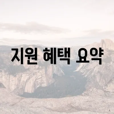 지원 혜택 요약