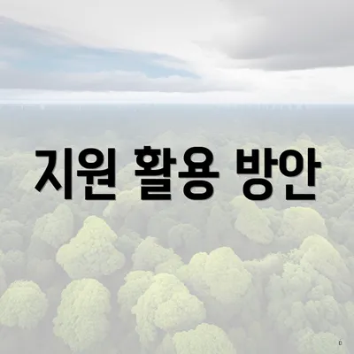 지원 활용 방안