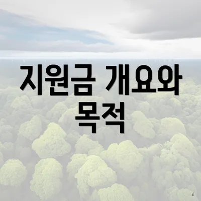 지원금 개요와 목적