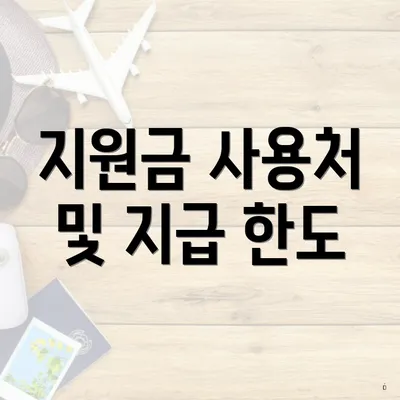 지원금 사용처 및 지급 한도