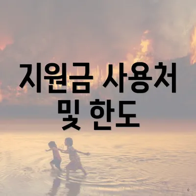 지원금 사용처 및 한도