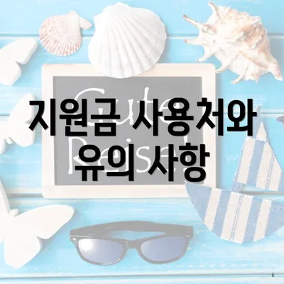 지원금 사용처와 유의 사항