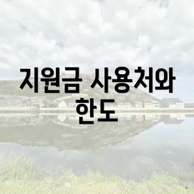 지원금 사용처와 한도