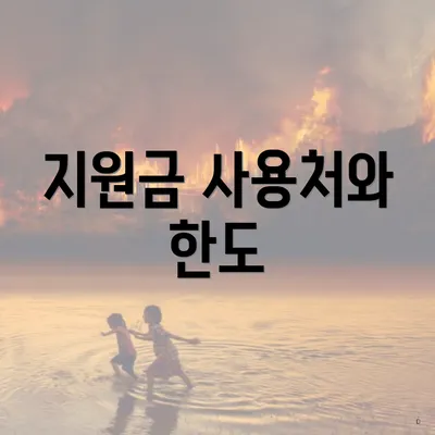 지원금 사용처와 한도