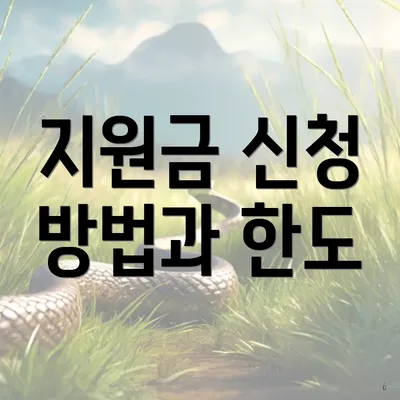 지원금 신청 방법과 한도