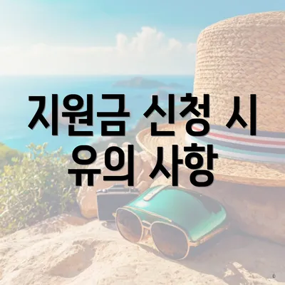 지원금 신청 시 유의 사항