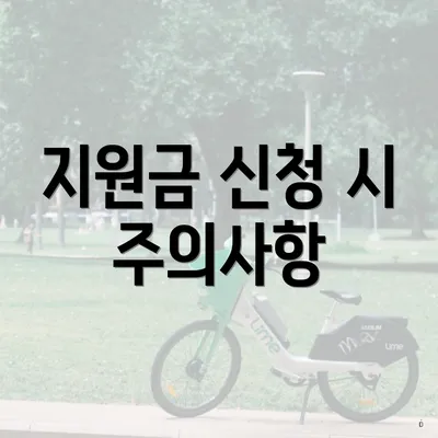지원금 신청 시 주의사항