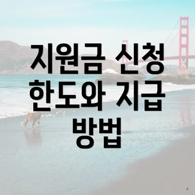 지원금 신청 한도와 지급 방법