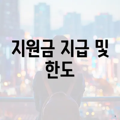 지원금 지급 및 한도
