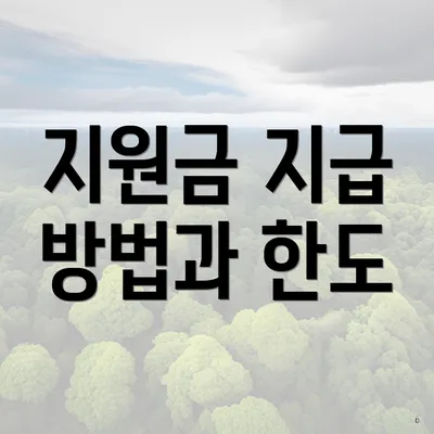 지원금 지급 방법과 한도