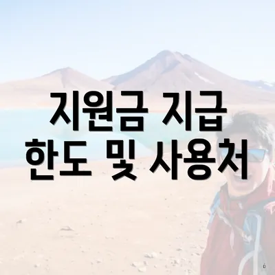 지원금 지급 한도 및 사용처