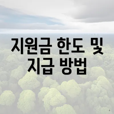 지원금 한도 및 지급 방법